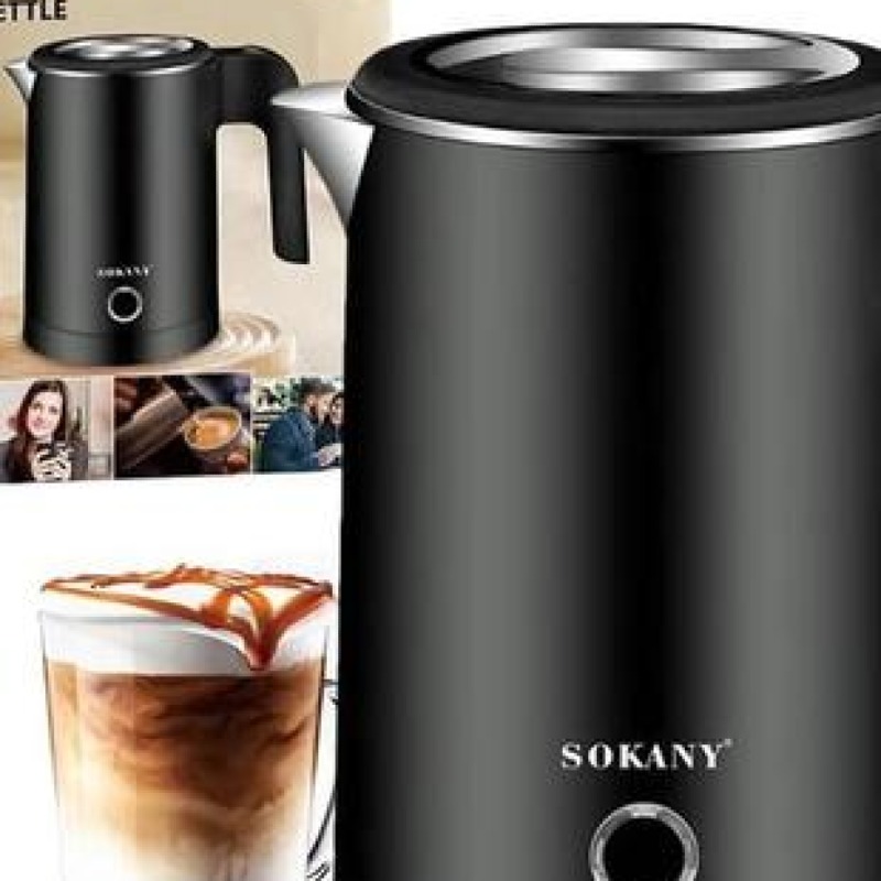 Petit bouilloire électrique 500ML portatif 