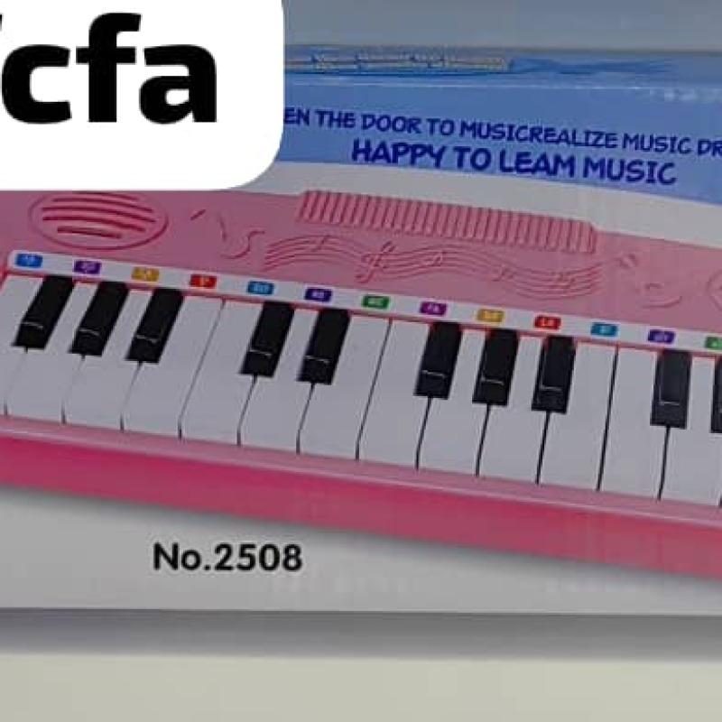 Clavier rose LITTLE MUSICIAN 25 touches avec micro – Piano éducatif pour enfants