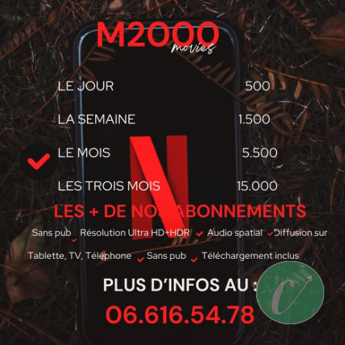 Abonnement Netflix 