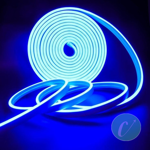 Led néon 5 mètres 