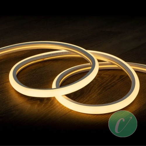 Led néon 5 mètres 