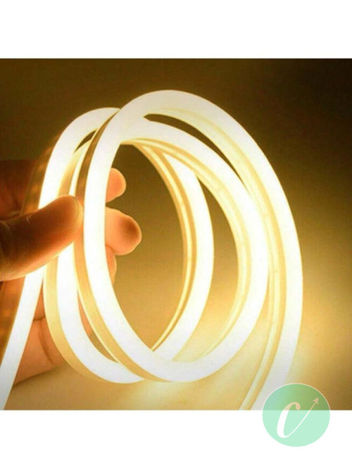 Led néon 5 mètres 