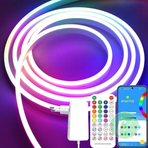 Led néon 5 mètres 