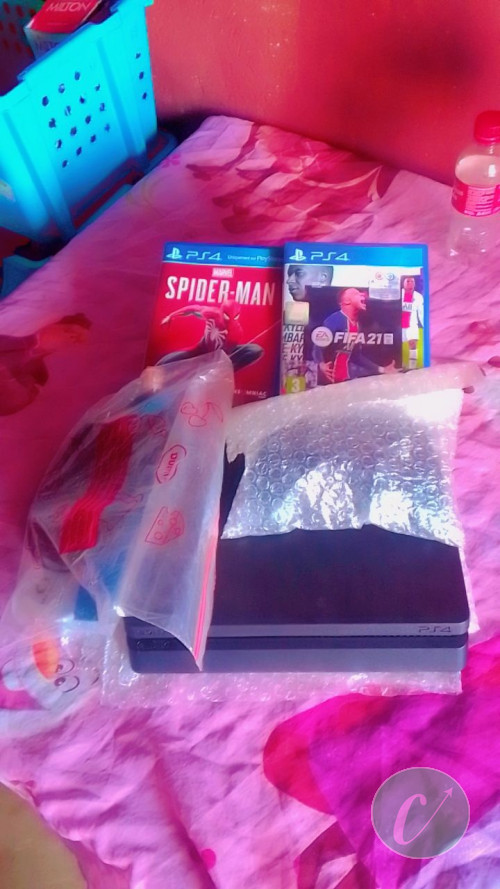 PLAY STATION 4 (IV)