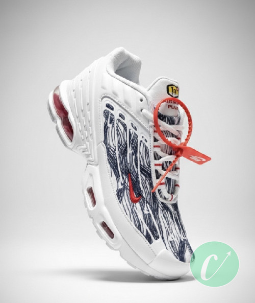 Nike Air Max Plus TN 3 Topography 